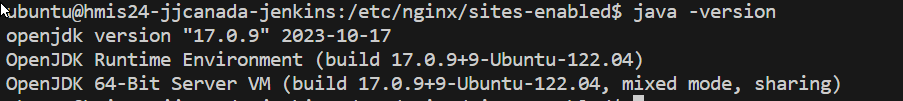 java -version