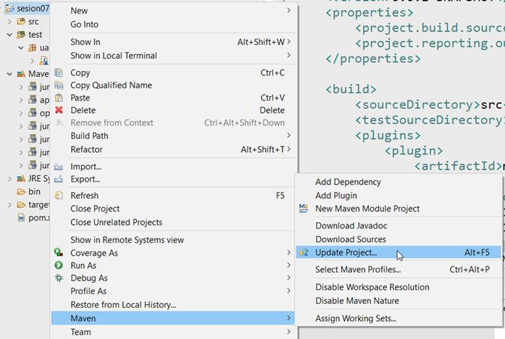 maven-update-project