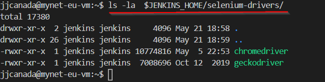 jenkins installed selenium drivers